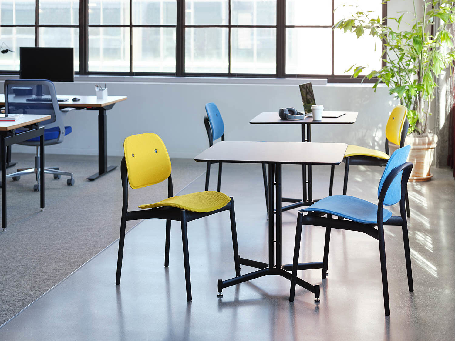 Knoll Iquo Armless 02 environmental