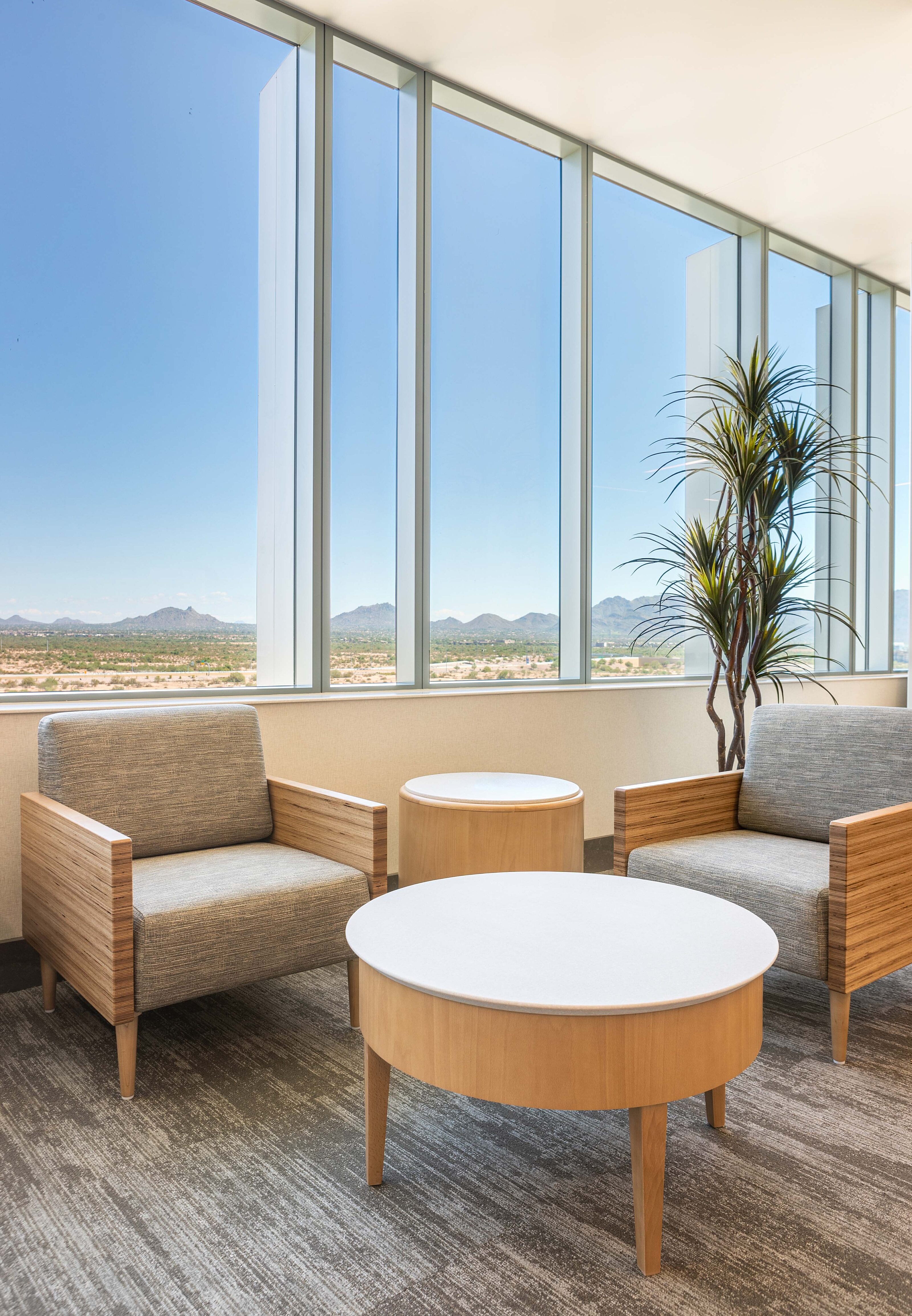 Mayo Clinic East Expansion | Healthcare | Waiting Area, Lobby, Reception, Seating Area | Phoenix, AZ